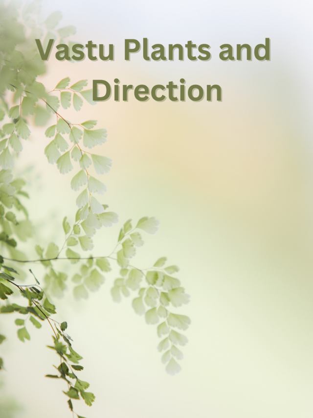 Vastu Plants and Directions