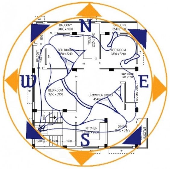 Vastu Purush Image,  45 energy field